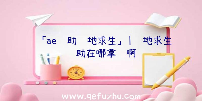 「ae辅助绝地求生」|绝地求生辅助在哪拿货啊